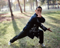 Master Zhou Jing Xuan demonstrating Pigua Zhang's Dan Pi Zhang, HaYarkon Park, Tel-Aviv, 2010.jpg